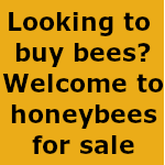 Honeybees for sale in all areas of the UK